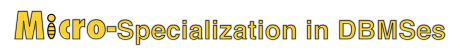 (none)