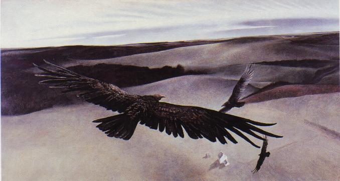 [soaring]