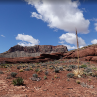 Grand Canyon NP
