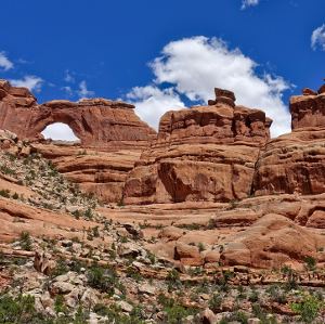 Cedar Mesa