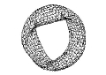 torus_3D_1000 CREATOR: XV Version 3.10a  Rev: 12/29/94 (PNG patch 1.2)  Quality = 75, Smoothing = 0